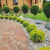Туя західна Міріам, Thuja occidentalis Mirjam, 1л