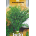 Кріп Лісногородський, 20 г - насіння SeedEra