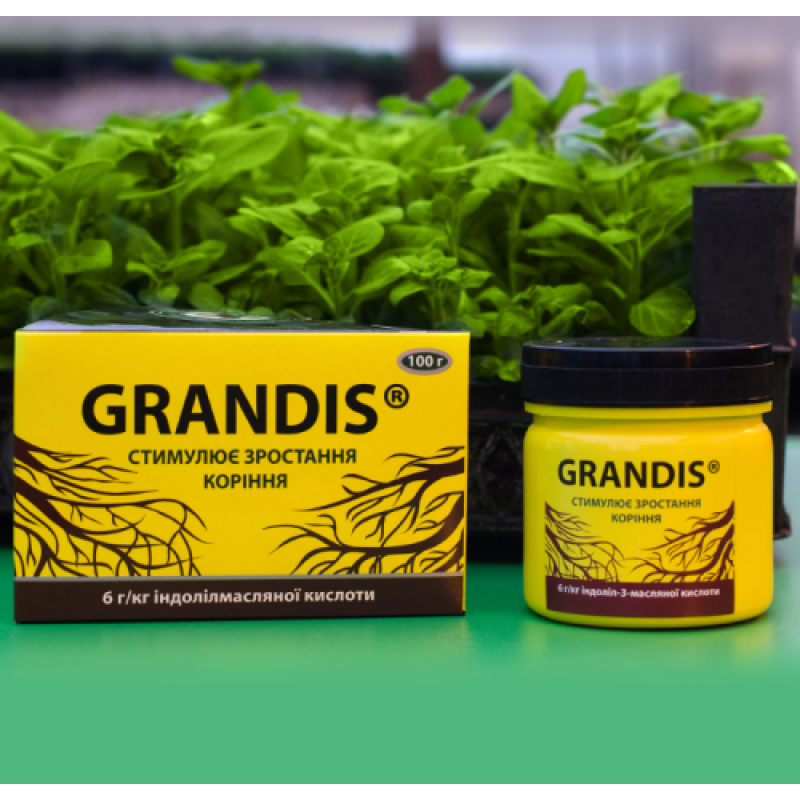 Укорінювач Грандіс, коренеутворювач Grandis, 100 г