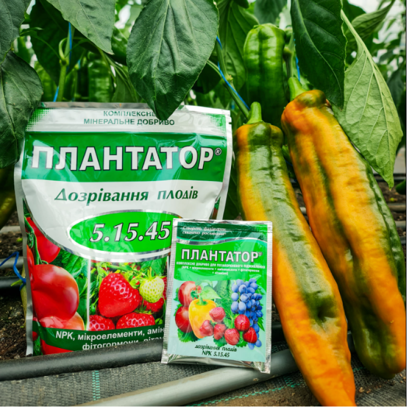Плантатор Дозрівання плодів 5.15.45 - 1 кг