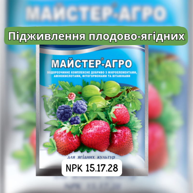 Майстер Агро для ЯГІДНИХ культур, 100 г