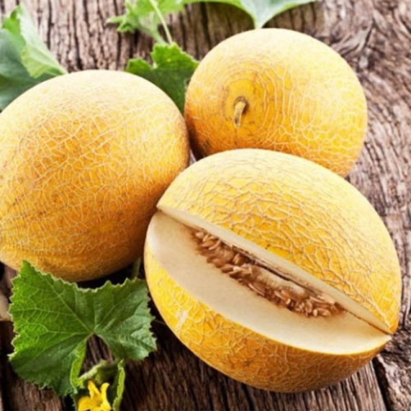 Диня Дідона, 10 г - насіння SeedEra