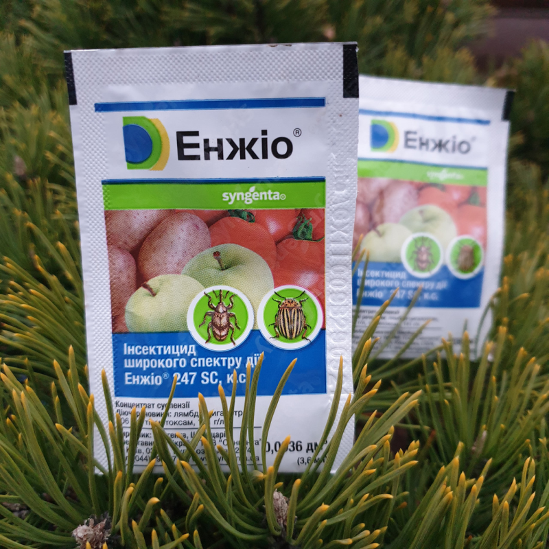Інсектицид Енжіо 3,6 мл, Syngenta