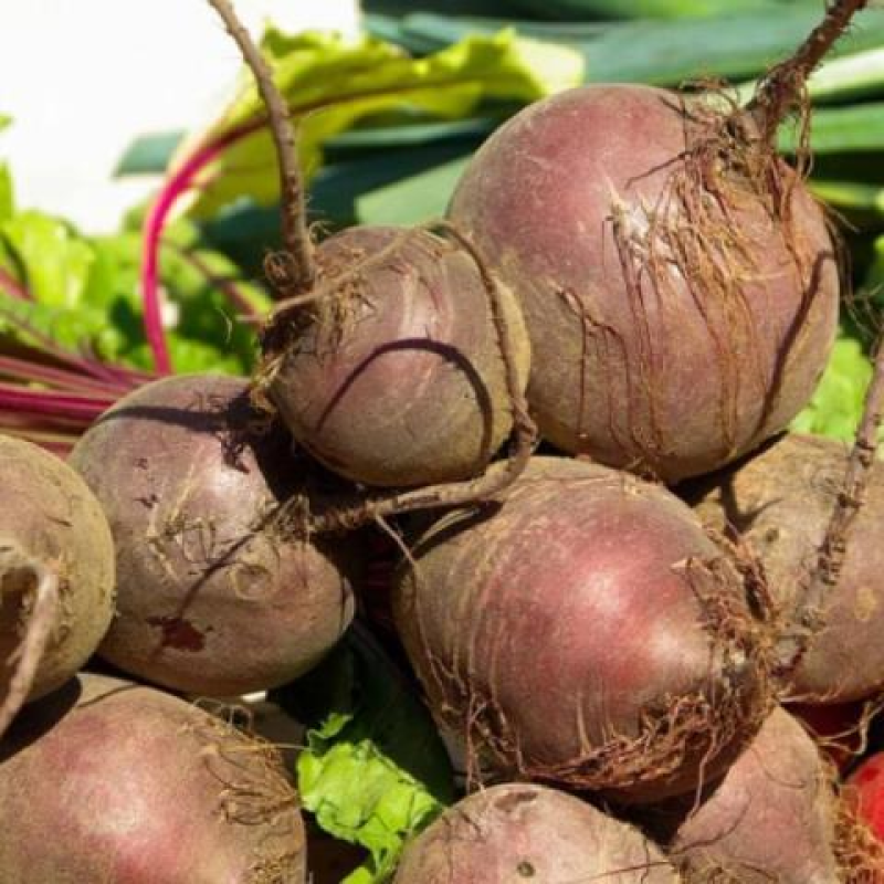Буряк Столовий Червона Куля, 3 г - насіння SeedEra